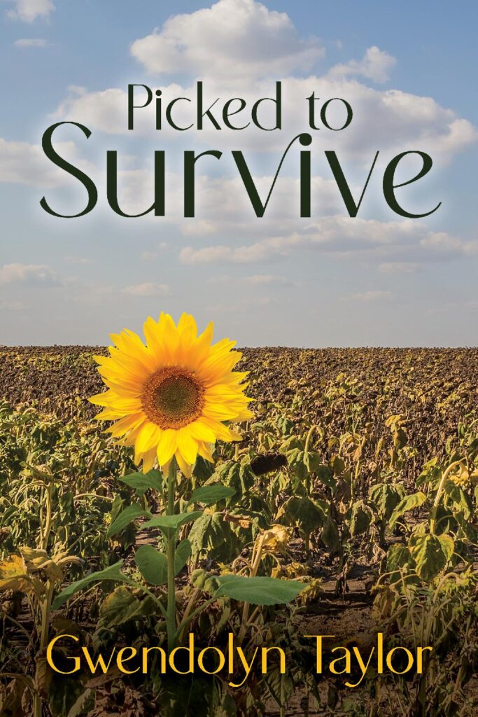 Book cover Picked to Survive with sunflower in a field
